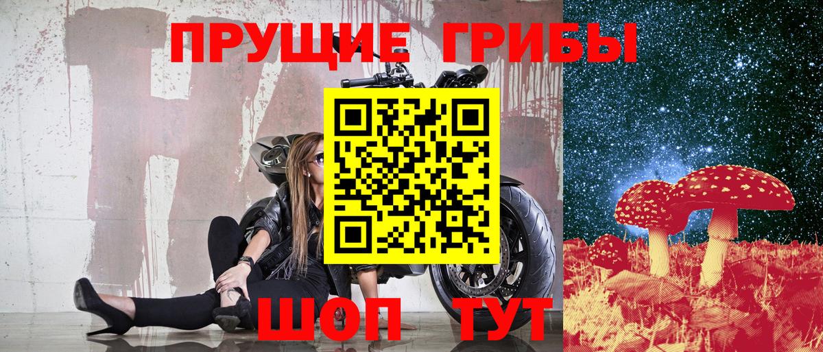 Галлюциногенные грибы Psilocybe Верхняя Салда